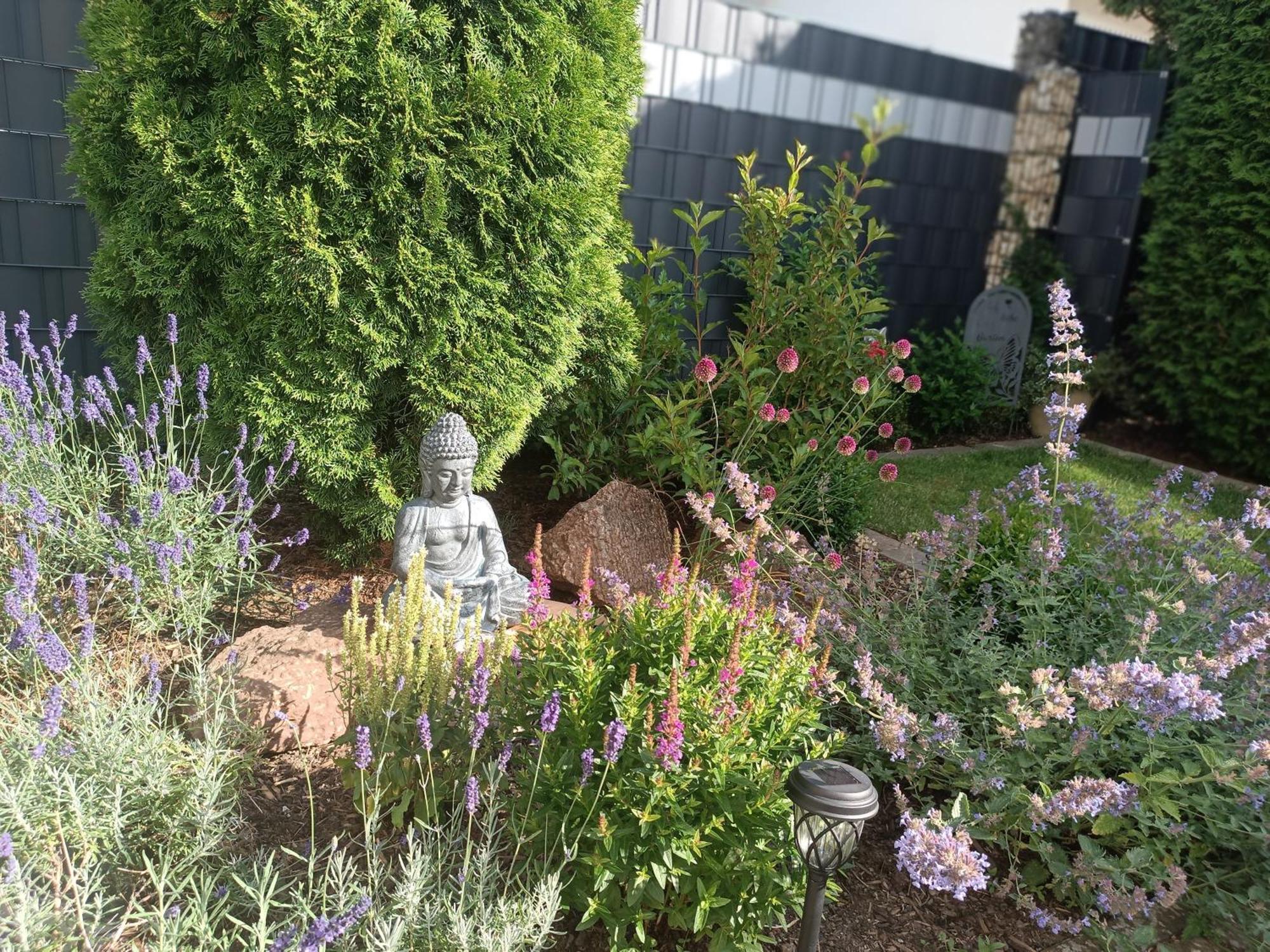 Ferienwohnung Sonnenblick Und Relax Sundern Eksteriør bilde